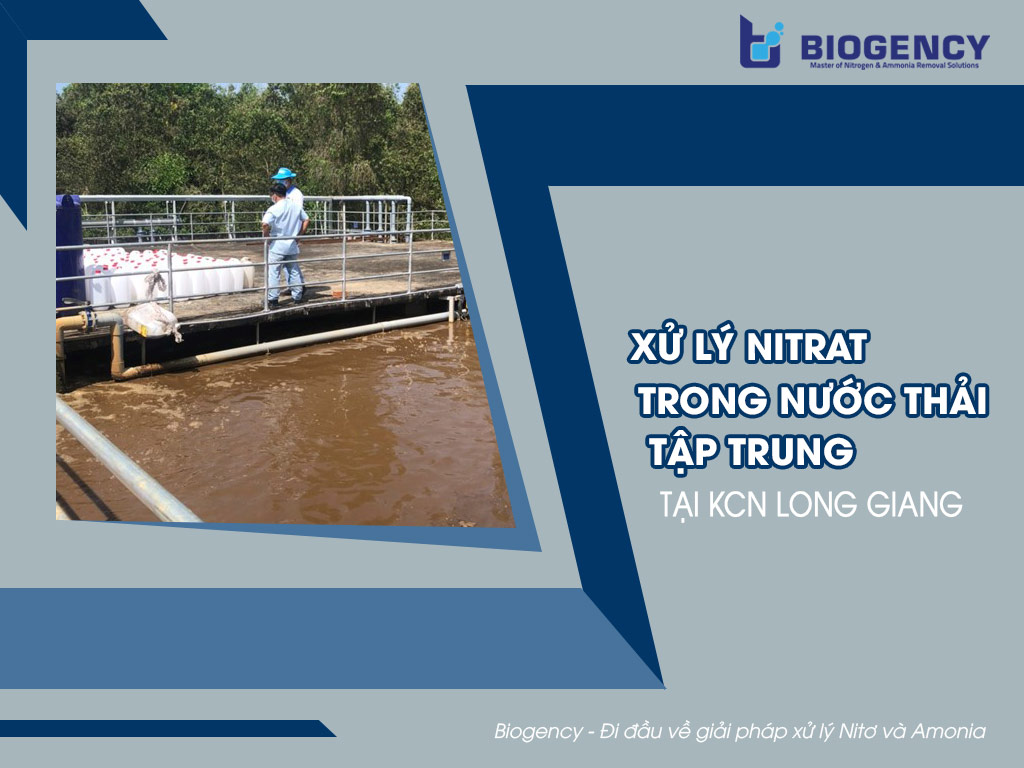 Xử lý nitrat trong nước thải tập trung